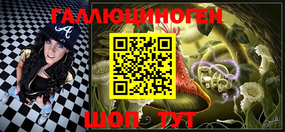 Славгород  купить  сайты  Вход с VPN  Галлюциногенные грибы мицелий 